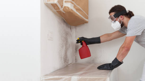 Professional Bathroom Mold Removal technician working in Kingston, TN