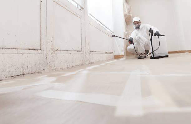 24/7 Emergency Bathroom Mold Removal experts in Kingston, TN